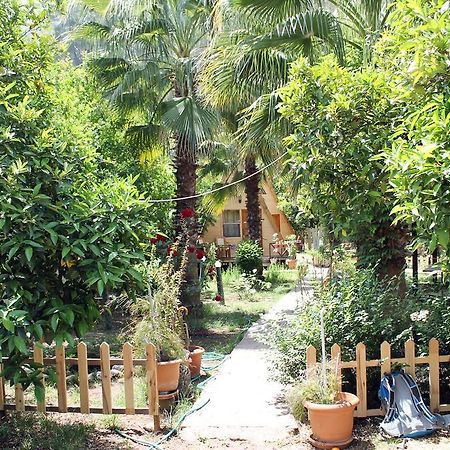 Oran Pansiyon Agac Evler Hotel Çıralı Exterior foto