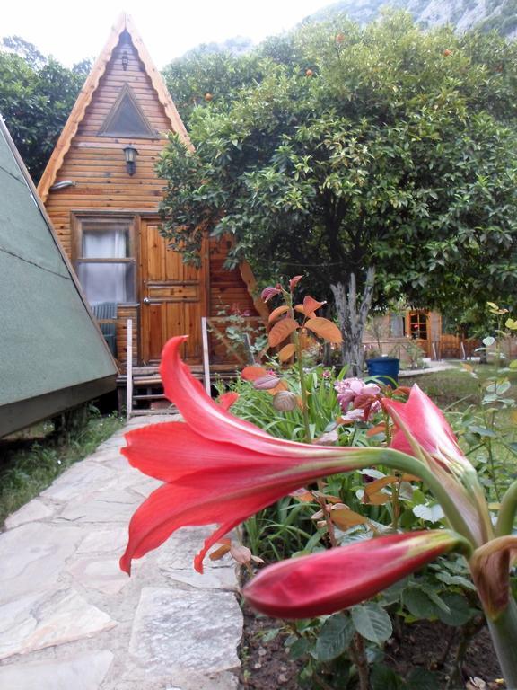 Oran Pansiyon Agac Evler Hotel Çıralı Exterior foto