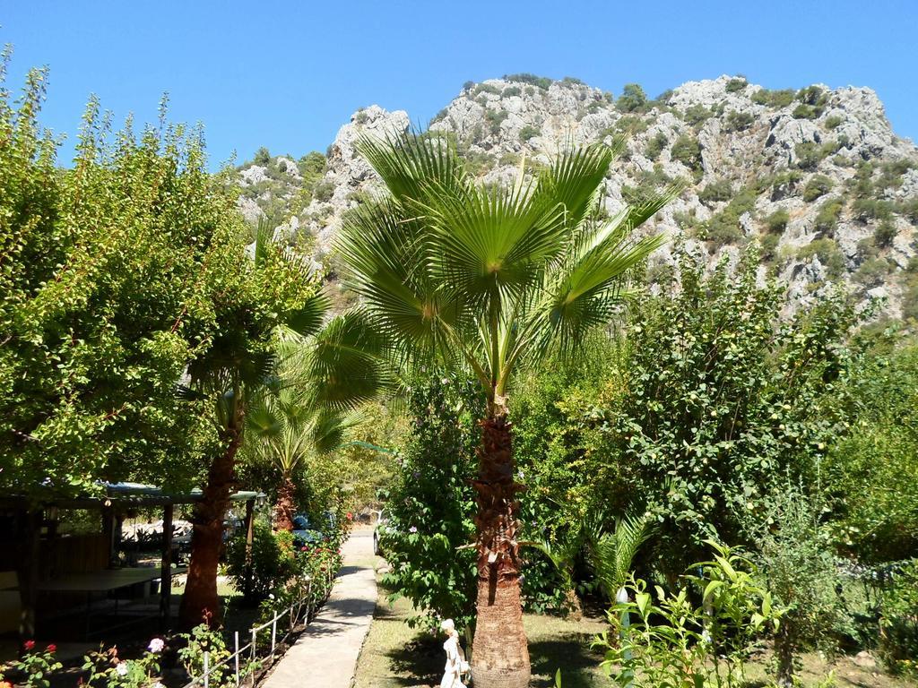 Oran Pansiyon Agac Evler Hotel Çıralı Exterior foto