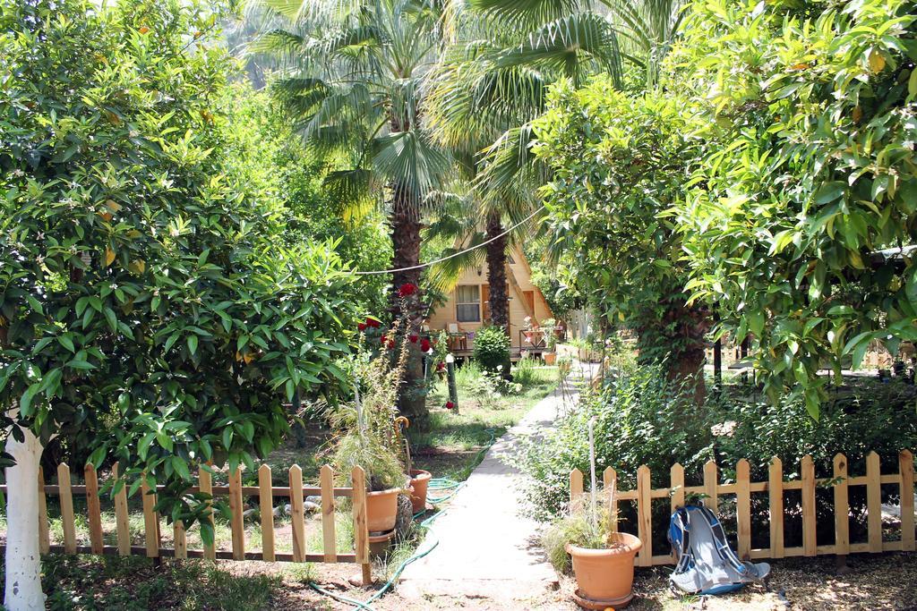 Oran Pansiyon Agac Evler Hotel Çıralı Exterior foto